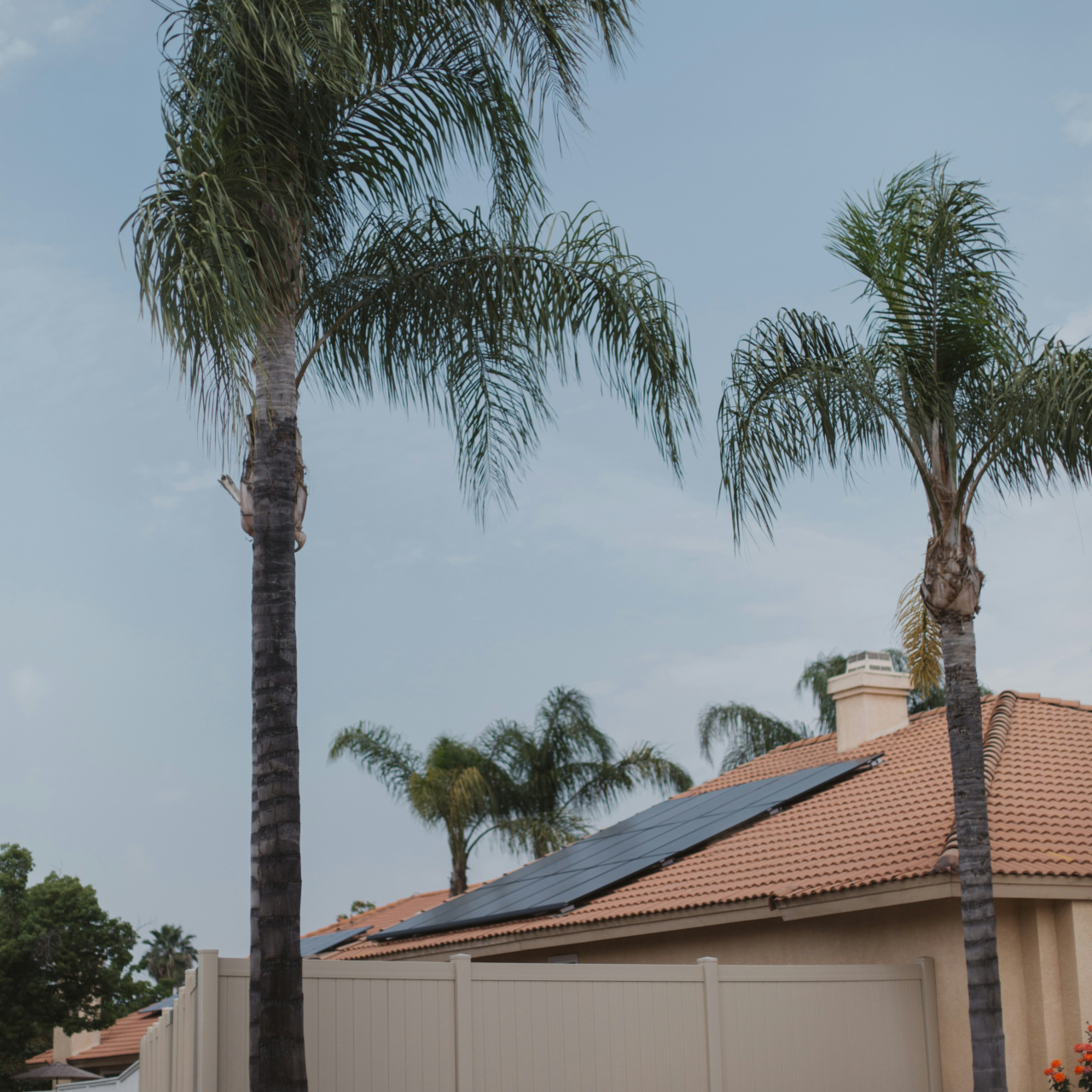 Homeowner with a modern home with solar panels on the roof, representing the shift toward solar energy in 2024